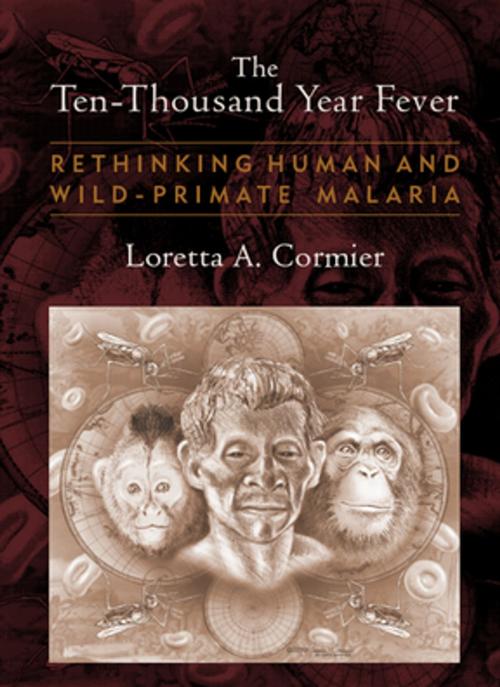Cover of the book The Ten-Thousand Year Fever by Loretta A Cormier, Taylor and Francis