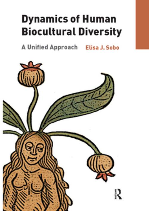 Cover of the book Dynamics of Human Biocultural Diversity by Elisa J. Sobo, Taylor and Francis