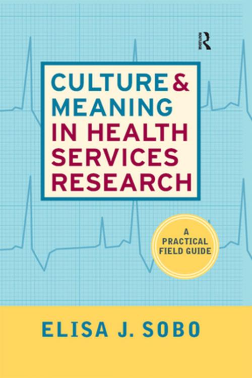 Cover of the book Culture and Meaning in Health Services Research by Elisa J Sobo, Taylor and Francis