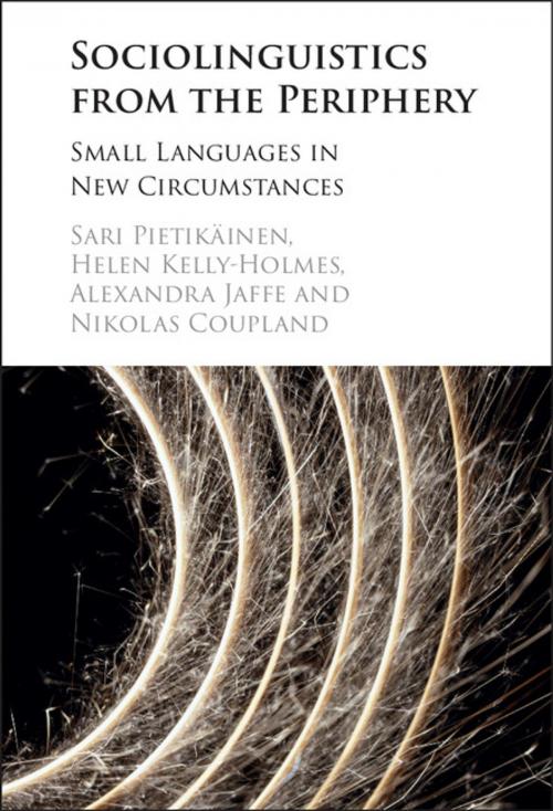 Cover of the book Sociolinguistics from the Periphery by Sari Pietikäinen, Alexandra Jaffe, Helen Kelly-Holmes, Nikolas Coupland, Cambridge University Press