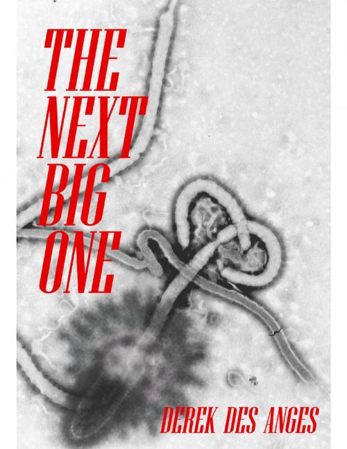 Cover of the book The Next Big One by Derek Des Anges, Lulu.com