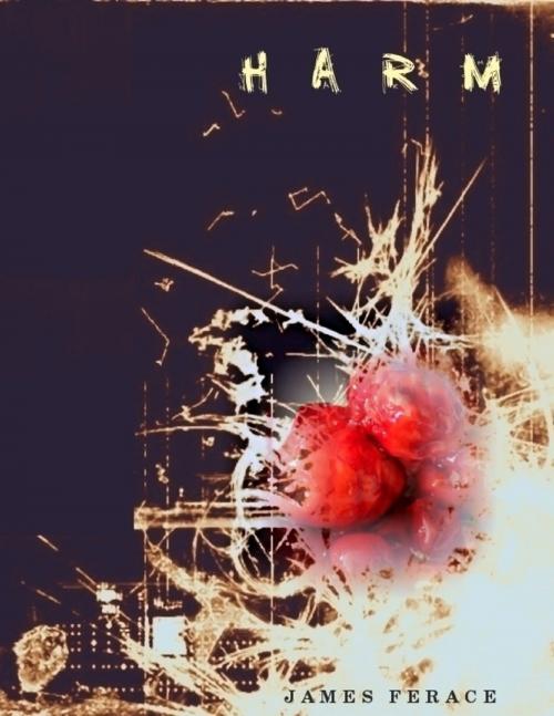 Cover of the book Harm by James Ferace, Lulu.com
