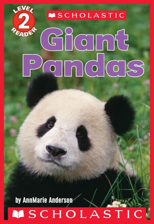Cover of the book Giant Pandas (Scholastic Reader, Level 2) by AnnMarie Anderson, Scholastic Inc.