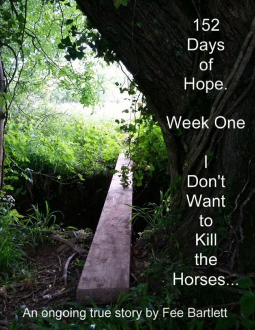 Cover of the book 152 Days of Hope : Week One - I Don't Want to Kill the Horses... by Fee Bartlett, Lulu.com