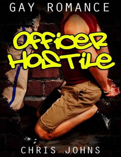 Cover of the book Officer Hostile by Chris Johns, Lulu.com