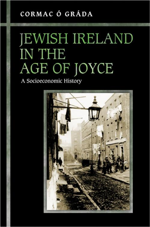 Cover of the book Jewish Ireland in the Age of Joyce by Cormac Ó Gráda, Princeton University Press