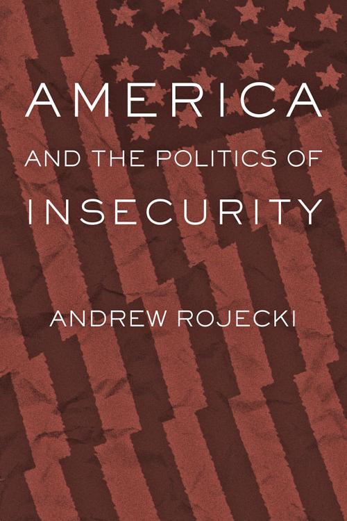 Cover of the book America and the Politics of Insecurity by Andrew Rojecki, Johns Hopkins University Press