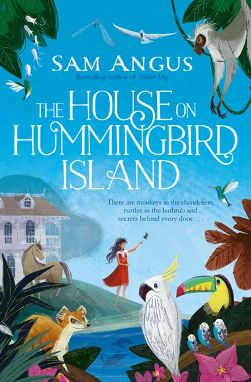 Cover of the book The House on Hummingbird Island by Sam Angus, Pan Macmillan