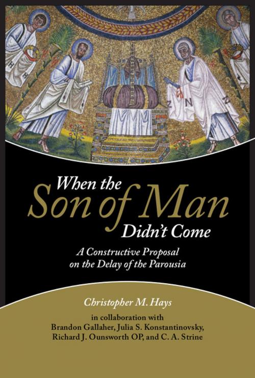 Cover of the book When the Son of Man Didn't Come by Christopher M. Hays, Brandon Gallaher, Julia S. Konstantinovsky, C. A. Stine, Fortress Press