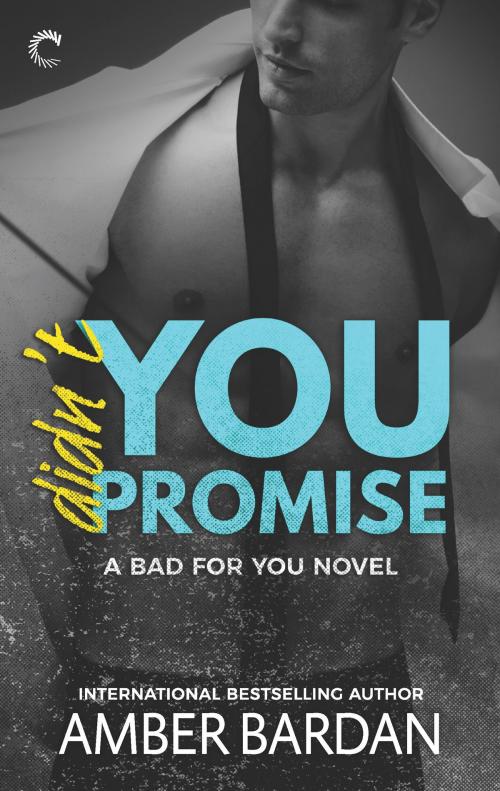 Cover of the book Didn't You Promise by Amber Bardan, Carina Press