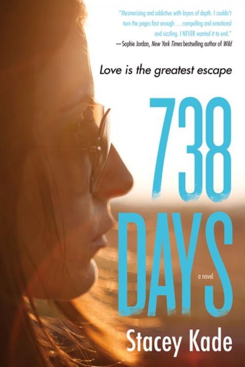 Cover of the book 738 Days by Stacey Kade, Tom Doherty Associates