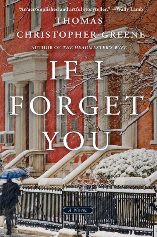 Cover of the book If I Forget You by Thomas Christopher Greene, St. Martin's Press
