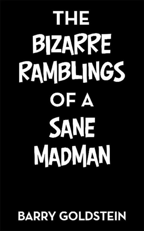 Cover of the book The Bizarre Ramblings of a Sane Madman by Barry Goldstein, Archway Publishing
