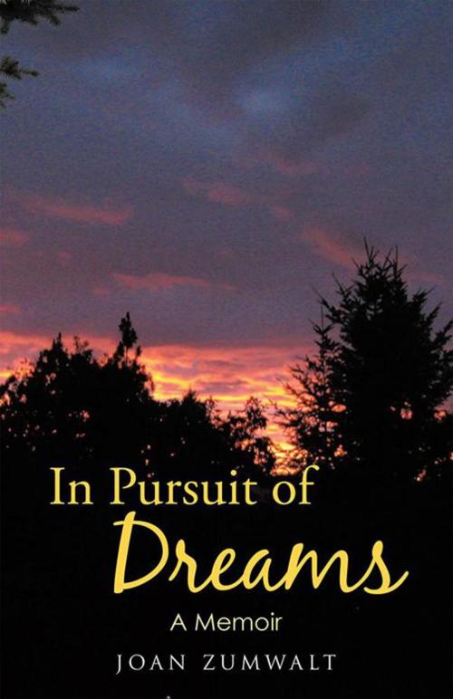 Cover of the book In Pursuit of Dreams by Joan Zumwalt, Archway Publishing