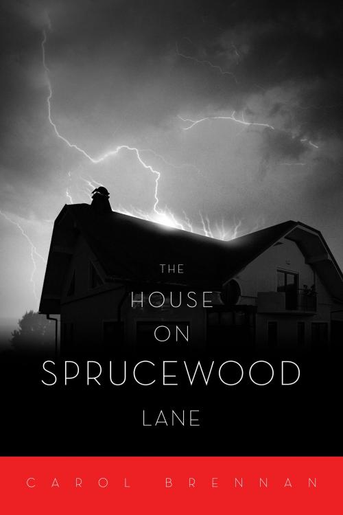Cover of the book The House On Sprucewood Lane by Carol Brennan, BookBaby