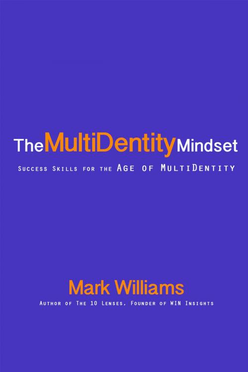 Cover of the book The Multidentity Mindset by Mark Williams, BookBaby