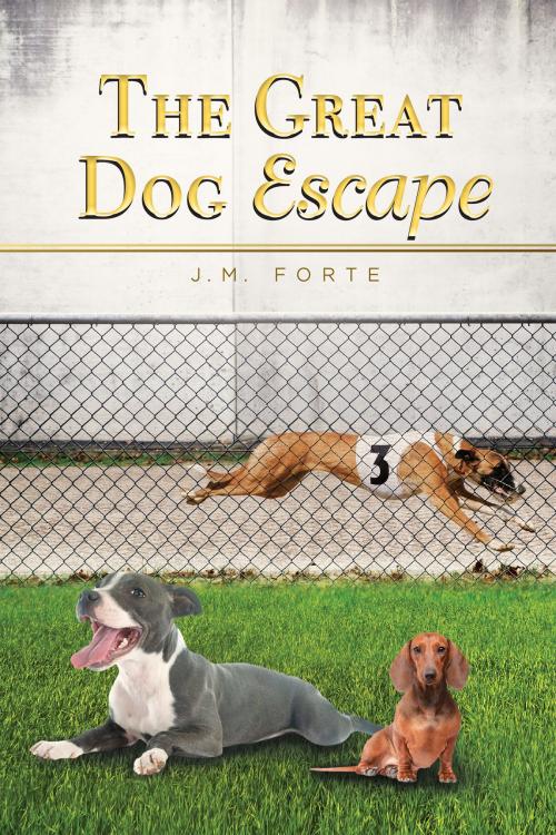 Cover of the book The Great Dog Escape by J.M. Forte, BookBaby