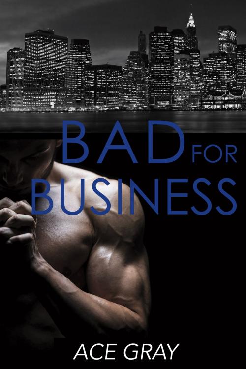 Cover of the book Bad for Business by Ace Gray, BookBaby