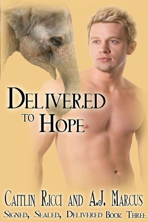 Cover of the book Delivered to Hope by Caitlin Ricci, A.J. Marcus, eXtasy Books Inc