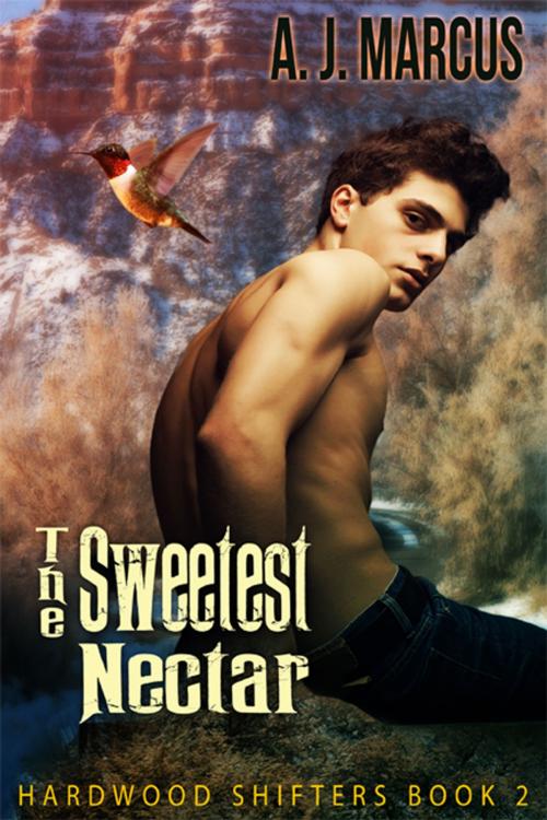 Cover of the book The Sweetest Nectar by A.J. Marcus, eXtasy Books Inc
