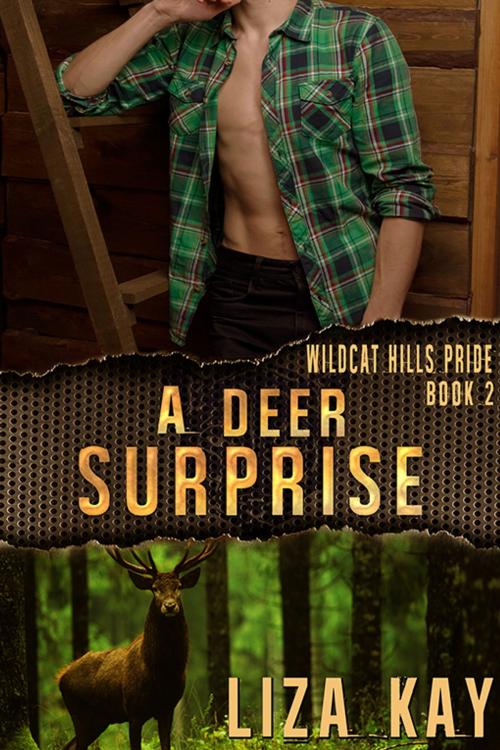 Cover of the book A Deer Surprise by Liza Kay, eXtasy Books Inc