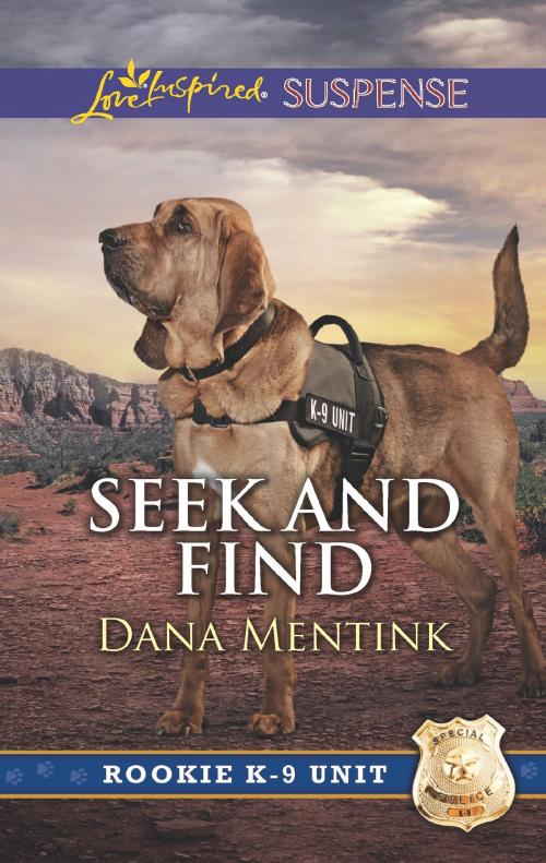 Cover of the book Seek and Find by Dana Mentink, Harlequin