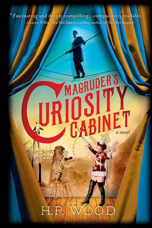 Cover of the book Magruder's Curiosity Cabinet by H.P. Wood, Sourcebooks