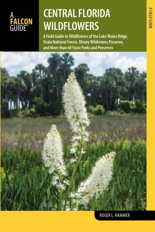 Cover of the book Central Florida Wildflowers by Roger L. Hammer, Falcon Guides