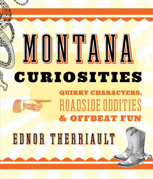 Cover of the book Montana Curiosities by Ednor Therriault, TwoDot