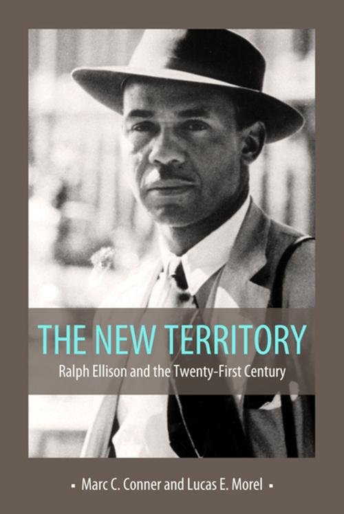 Cover of the book The New Territory by , University Press of Mississippi