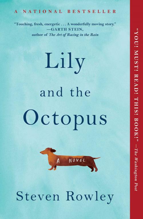 Cover of the book Lily and the Octopus by Steven Rowley, Simon & Schuster