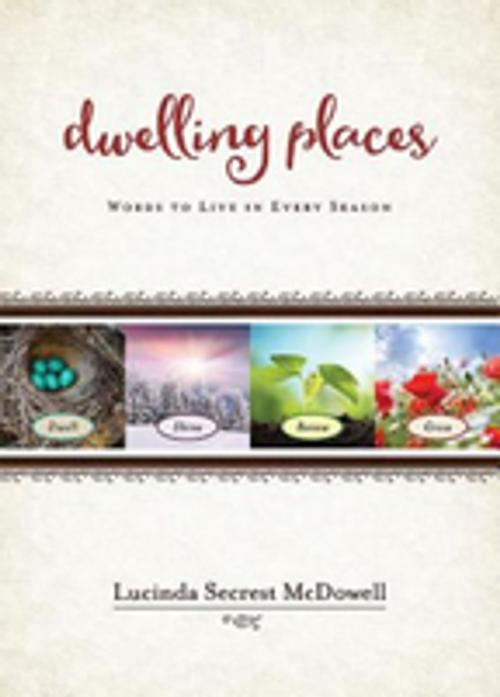 Cover of the book Dwelling Places by Lucinda Secrest McDowell, Abingdon Press