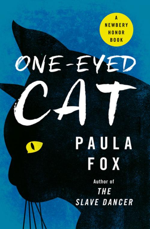 Cover of the book One-Eyed Cat by Paula Fox, Open Road Media