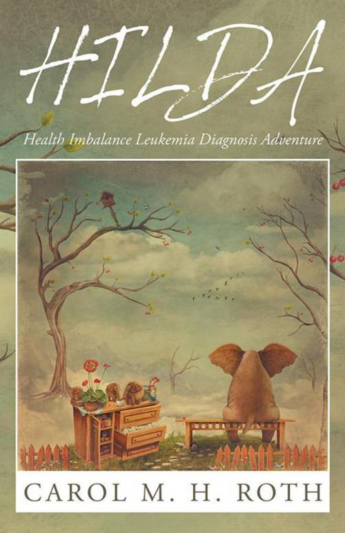 Cover of the book Hilda by Carol M. H. Roth, Balboa Press