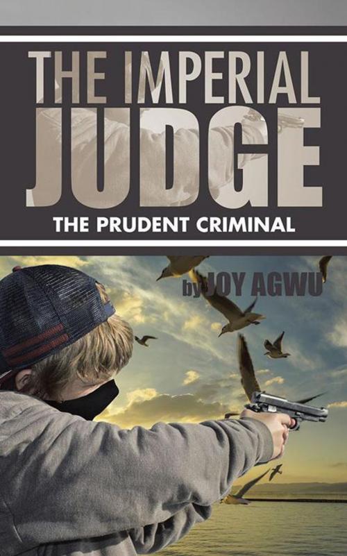 Cover of the book The Imperial Judge by Joy Agwu, AuthorHouse UK
