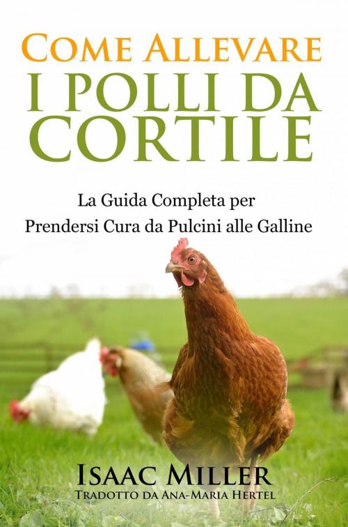 Cover of the book Come Allevare i Polli da Cortile: La Guida Completa per Prendersi Cura da Pulcini alle Galline by Isaac Miller, Ubertec Publishing