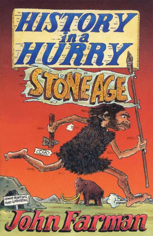 Cover of the book History in a Hurry: Stone Age by John Farman, Pan Macmillan