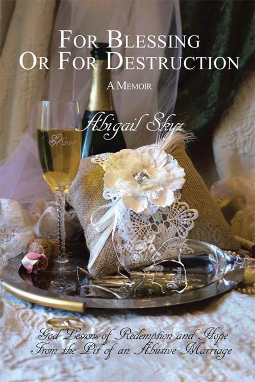 Cover of the book For Blessing or for Destruction by Abigail Skyz, WestBow Press