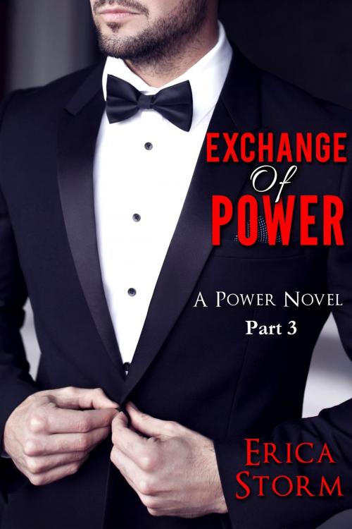 Cover of the book Exchange of Power by Erica Storm, Erica Storm