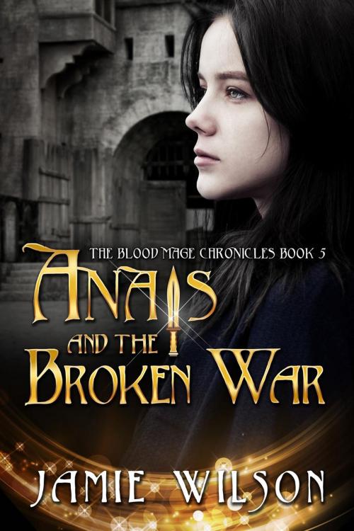 Cover of the book Anais and the Broken War by Jamie Wilson, Jamie Wilson