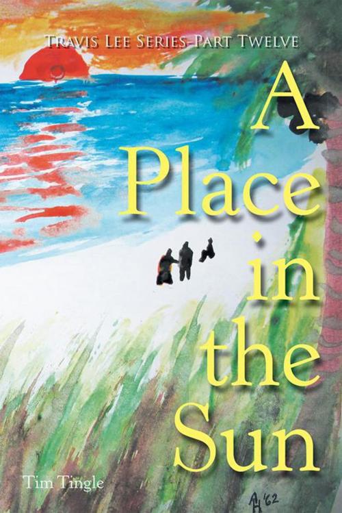 Cover of the book A Place in the Sun by Tim Tingle, AuthorHouse