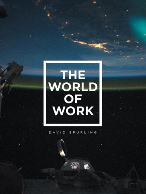 Cover of the book The World of Work by David Spurling, AuthorHouse UK