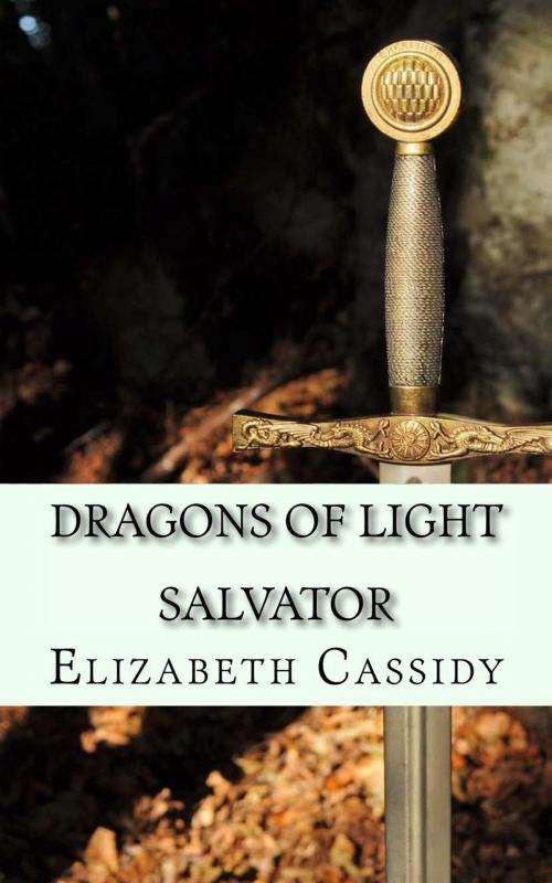 Cover of the book Dragons of Light - Salvator by Elizabeth Cassidy, Elizabeth Fulton