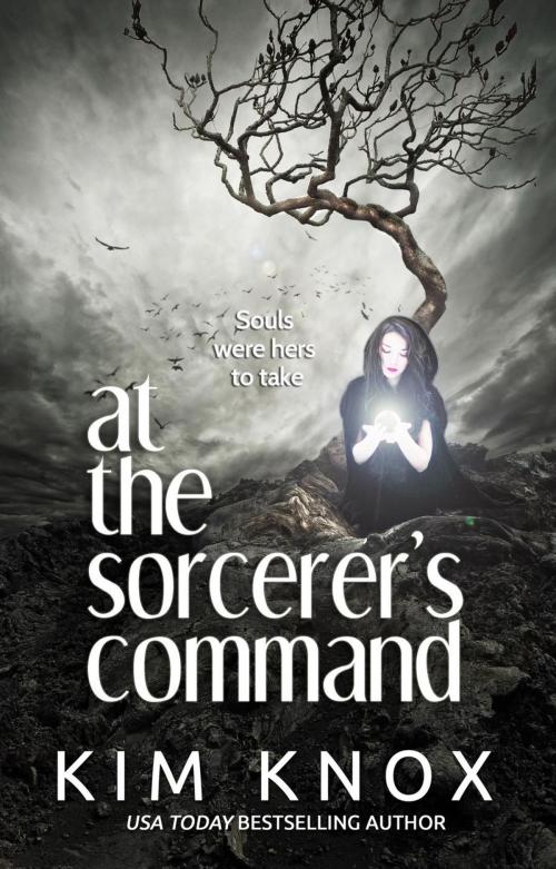 Cover of the book At the Sorcerer's Command by Kim Knox, Kim Knox