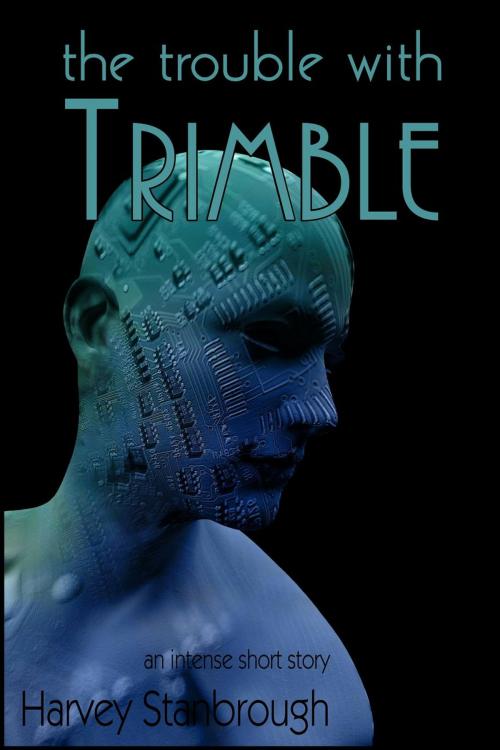 Cover of the book The Trouble with Trimble by Harvey Stanbrough, FrostProof808