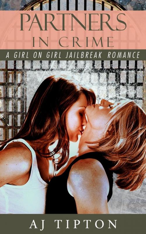 Cover of the book Partners in Crime: A Girl on Girl Jailbreak Romance by AJ Tipton, Daniela Bordeaux, AJ Tipton Enterprises, LLC