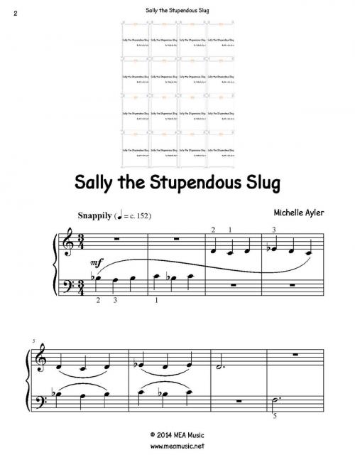 Cover of the book Sally the Stupendous Slug by Michelle Ayler, MEA Music