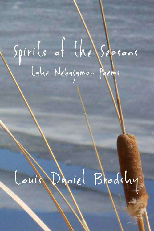 Cover of the book Spirits of the Seasons by Louis Daniel Brodsky, Time Being Books