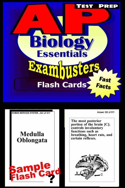 Cover of the book AP Biology Test Prep Review--Exambusters Flash Cards by AP Exambusters, Ace Academics, Inc.