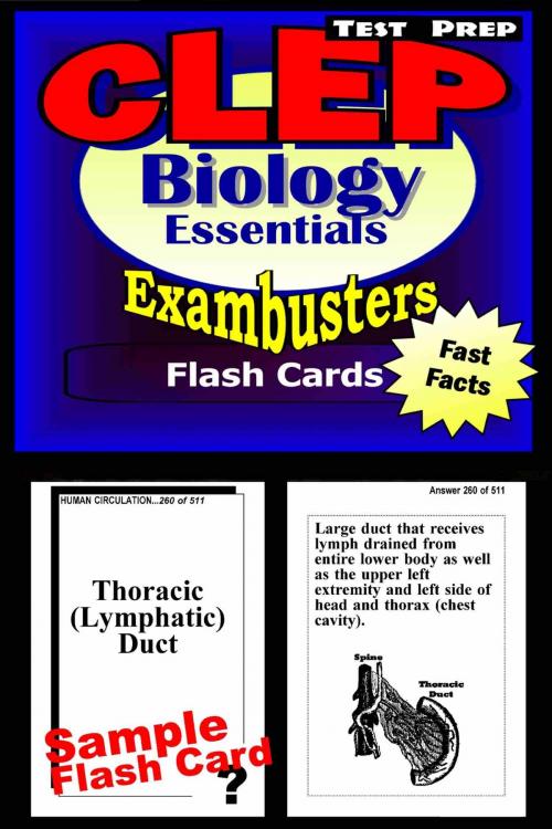 Cover of the book CLEP Biology Test Prep Review--Exambusters Flash Cards by CLEP Exambusters, Ace Academics, Inc.